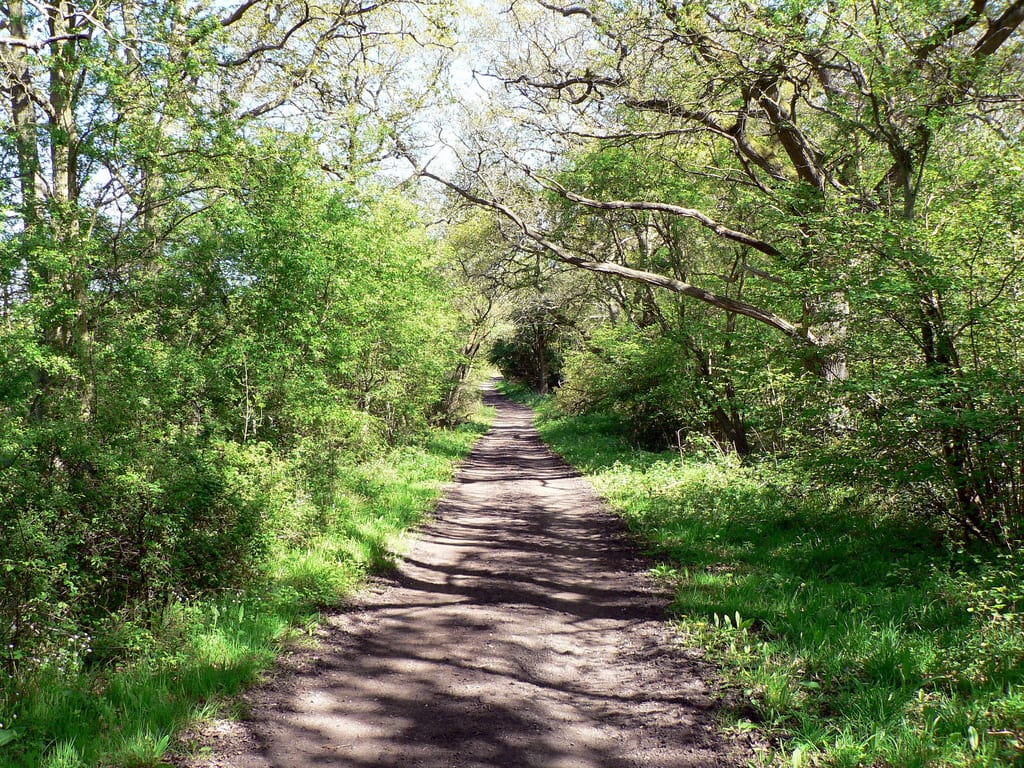 Double cheap track trail