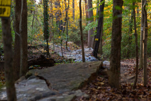 Rocky Branch Park – Canopy And Boulder Trail – Nature Trails